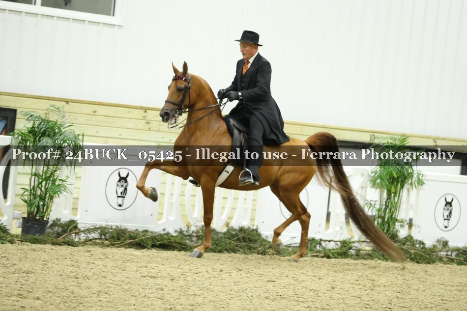 Proof 24BUCK_05425