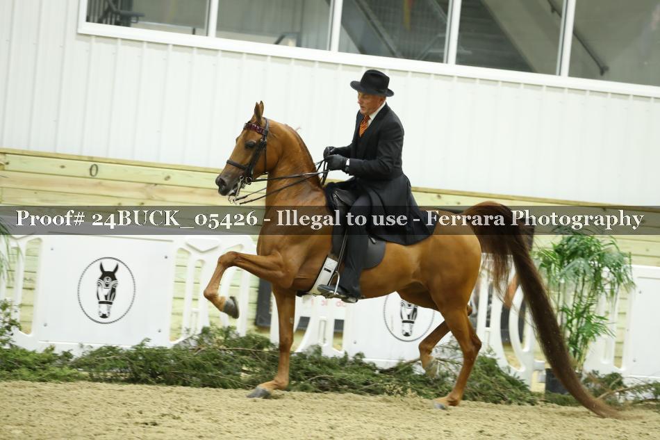Proof 24BUCK_05426