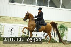 24BUCK_05426 proof