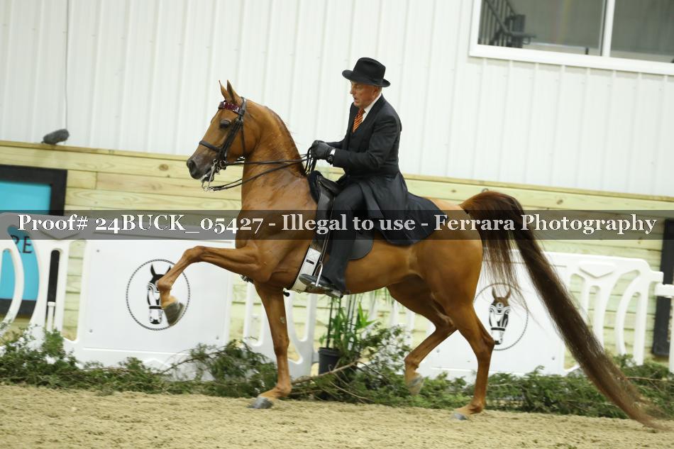 Proof 24BUCK_05427