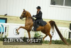 24BUCK_05427 proof