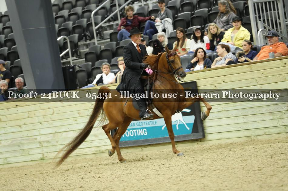 Proof 24BUCK_05431