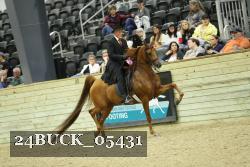 24BUCK_05431 proof