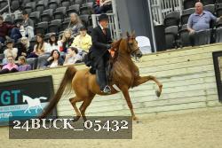 24BUCK_05432 proof