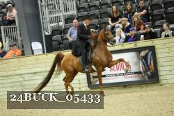 24BUCK_05433 proof