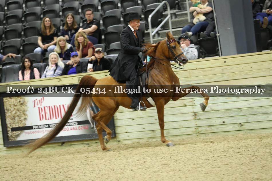 Proof 24BUCK_05434