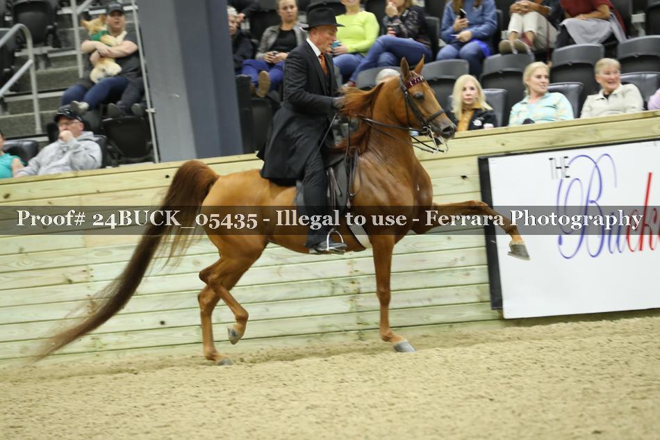 Proof 24BUCK_05435