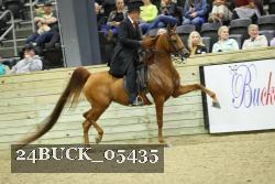 24BUCK_05435 proof