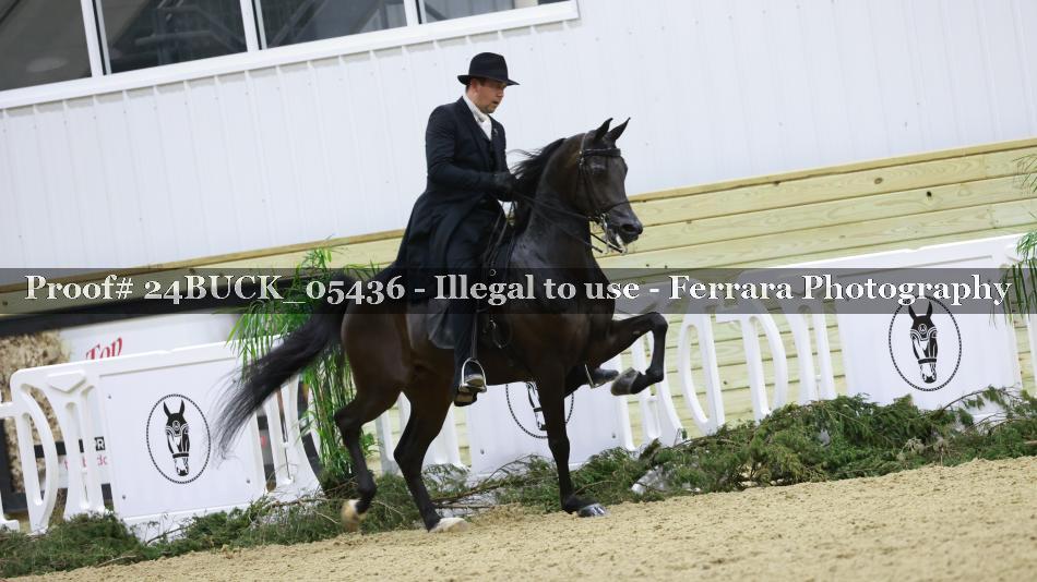 Proof 24BUCK_05436