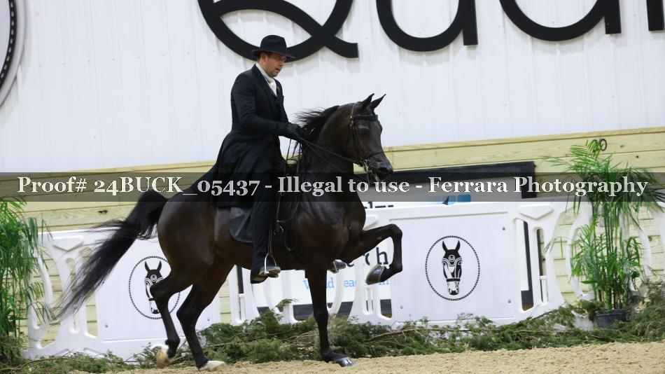 Proof 24BUCK_05437