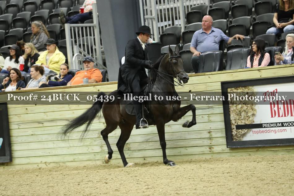 Proof 24BUCK_05439