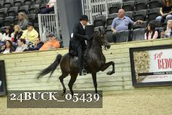 24BUCK_05439 proof