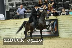 24BUCK_05440 proof
