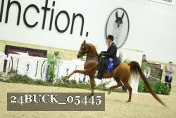 24BUCK_05445 proof