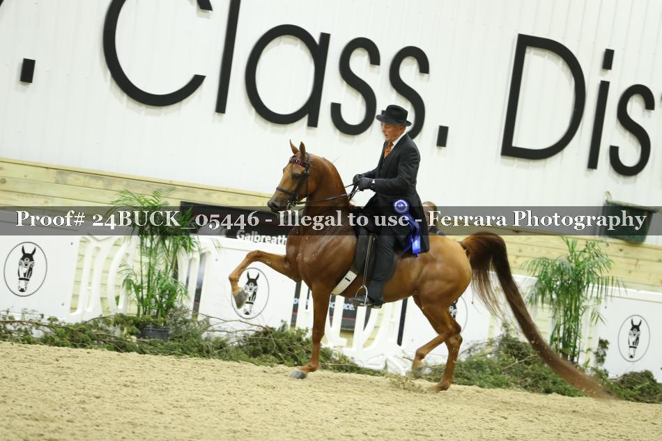 Proof 24BUCK_05446