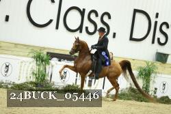 24BUCK_05446 proof