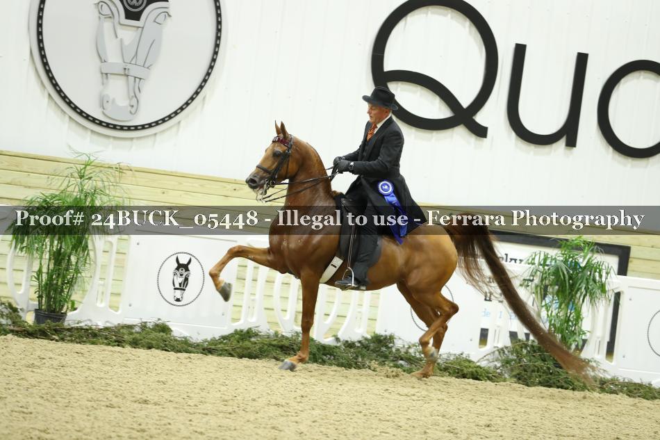 Proof 24BUCK_05448