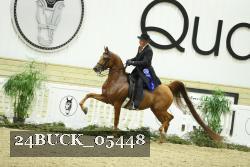 24BUCK_05448 proof