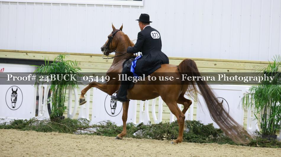 Proof 24BUCK_05449
