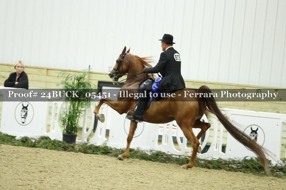 Proof 24BUCK_05451