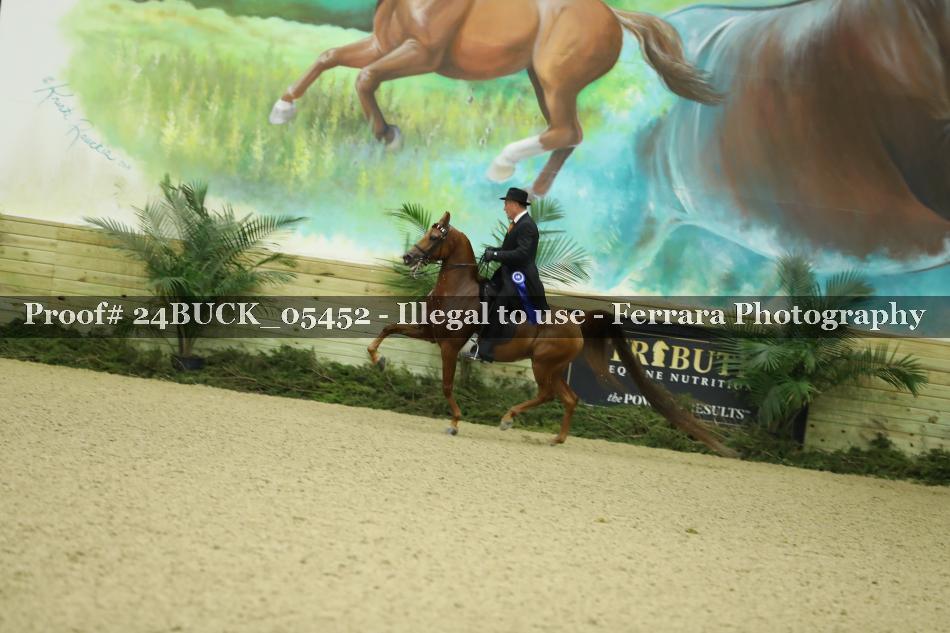 Proof 24BUCK_05452