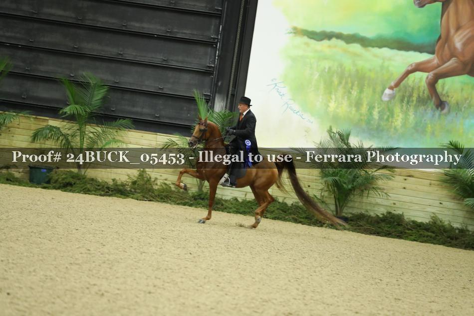 Proof 24BUCK_05453
