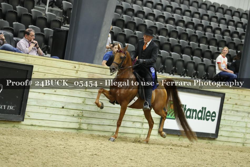 Proof 24BUCK_05454