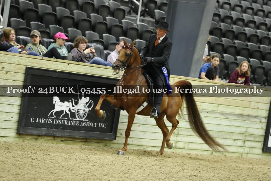 Proof 24BUCK_05455
