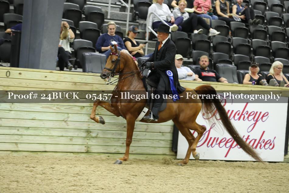 Proof 24BUCK_05457