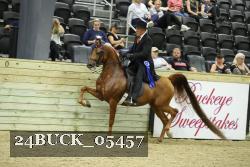 24BUCK_05457 proof