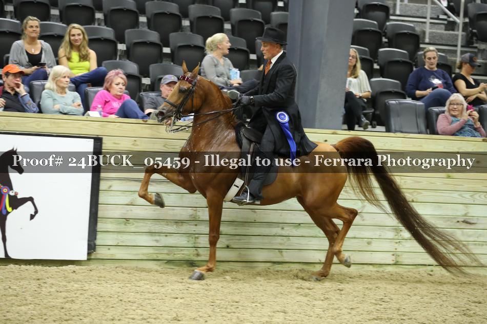 Proof 24BUCK_05459