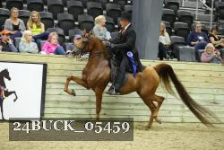 24BUCK_05459 proof