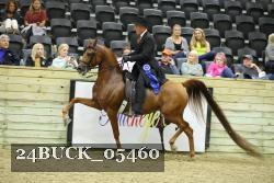 24BUCK_05460 proof