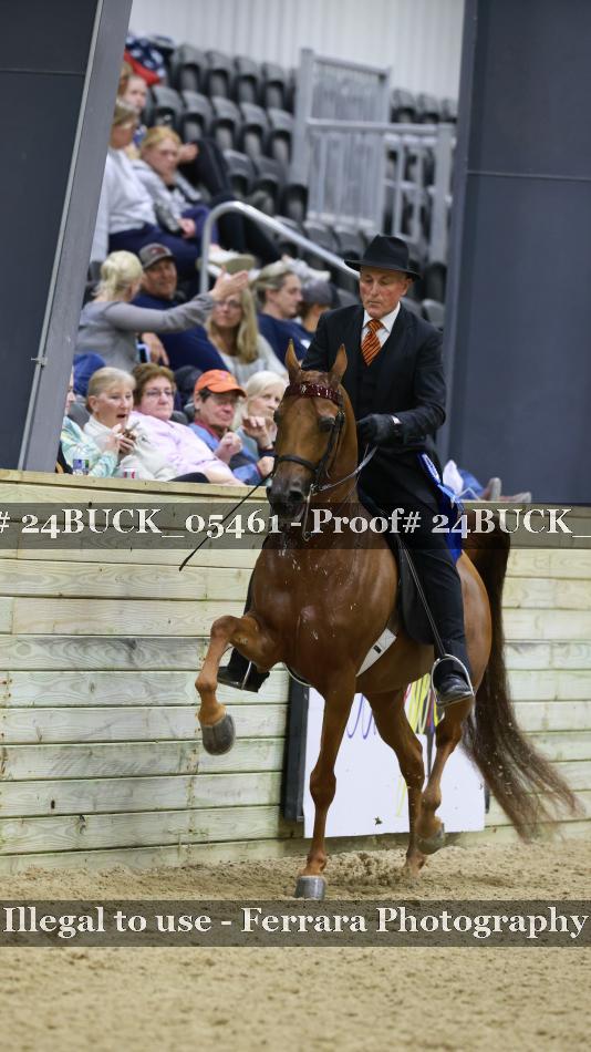 Proof 24BUCK_05461