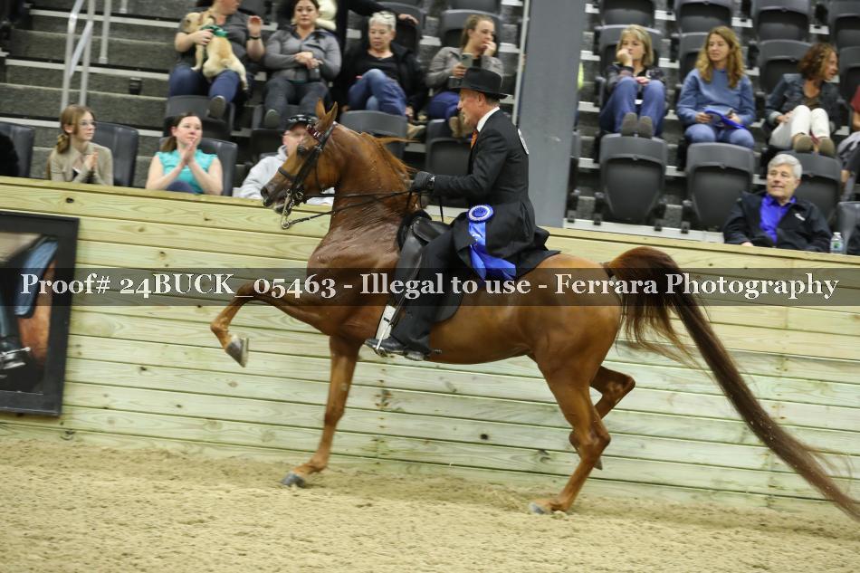 Proof 24BUCK_05463
