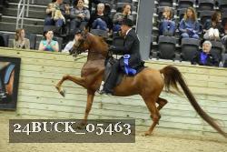24BUCK_05463 proof