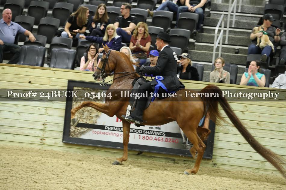 Proof 24BUCK_05464