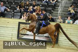 24BUCK_05464 proof