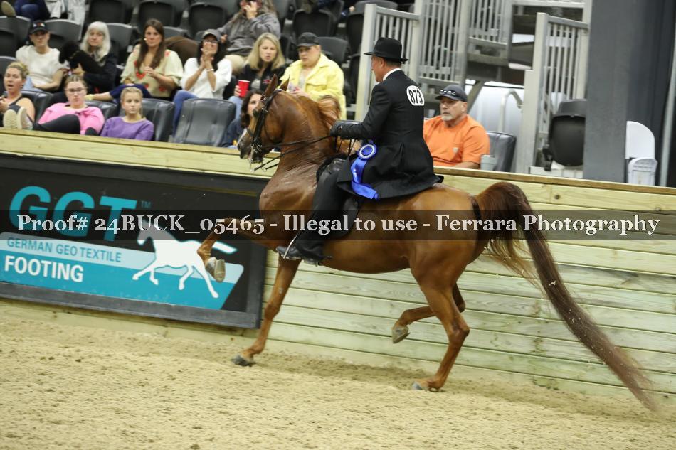 Proof 24BUCK_05465