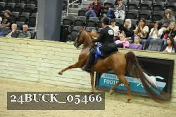 24BUCK_05466 proof
