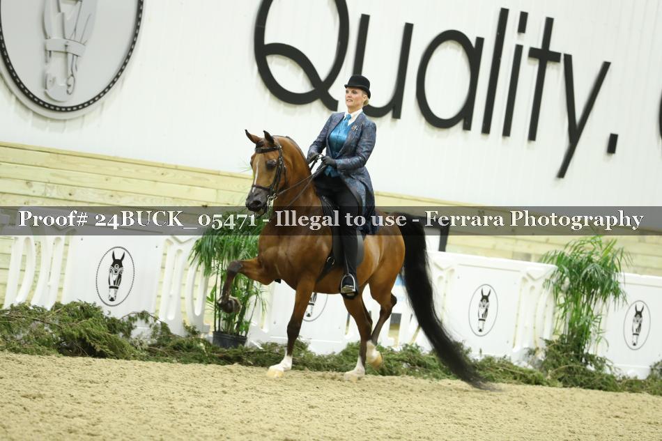 Proof 24BUCK_05471
