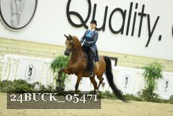 24BUCK_05471 proof