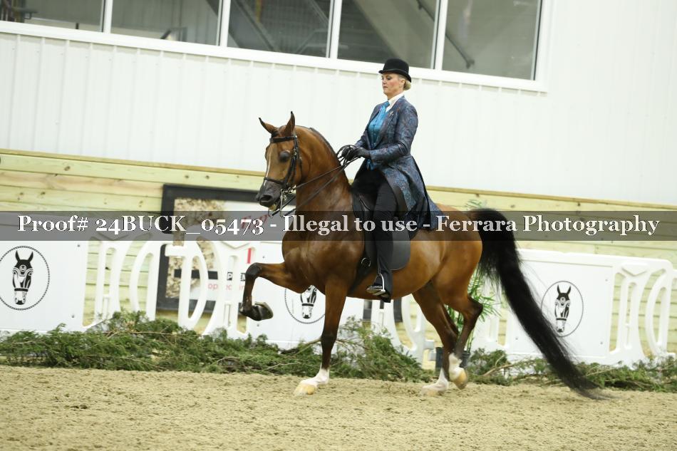 Proof 24BUCK_05473