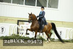24BUCK_05473 proof