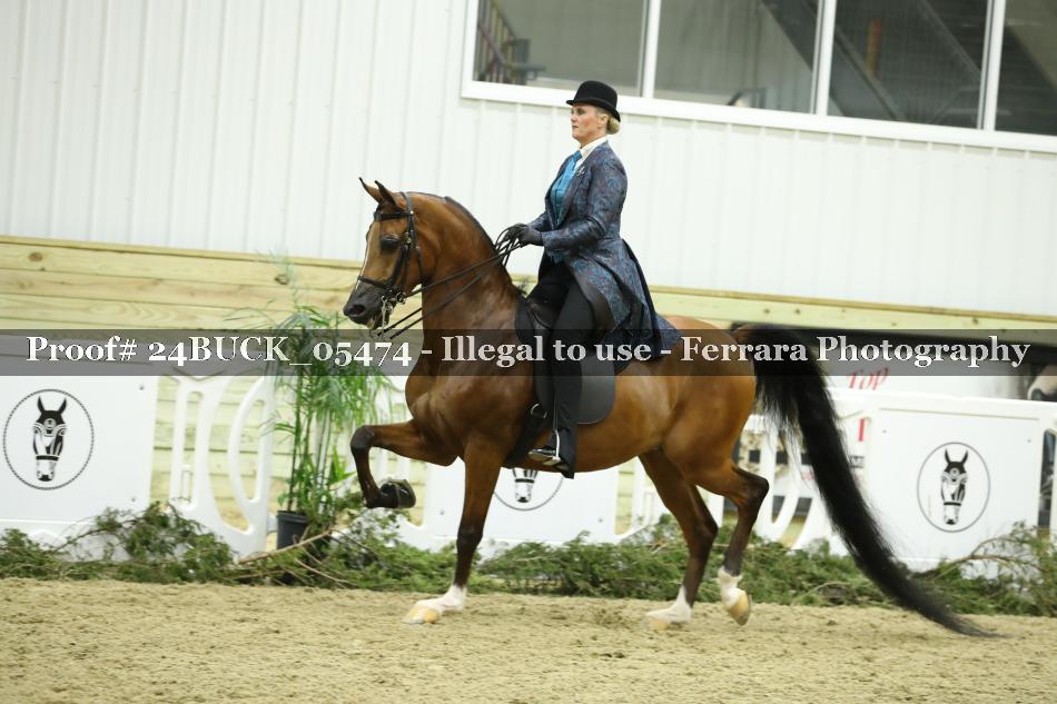 Proof 24BUCK_05474