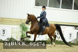 24BUCK_05474 proof