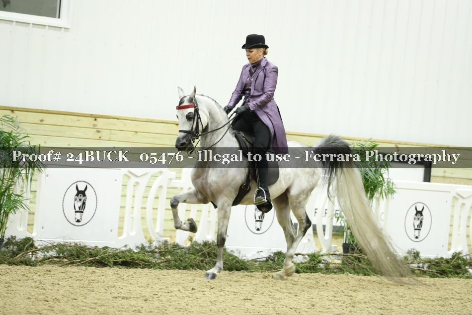 Proof 24BUCK_05476