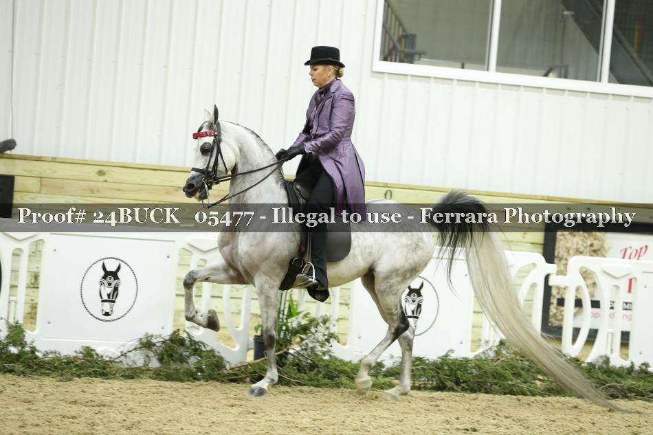 Proof 24BUCK_05477