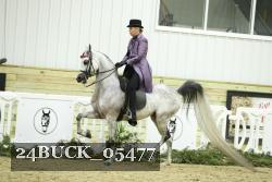 24BUCK_05477 proof
