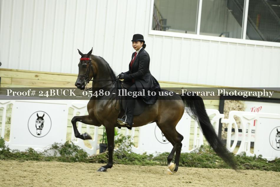 Proof 24BUCK_05480